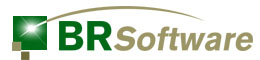 BR Software company logo