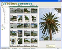 PixFiler Photo Catalogue main screen